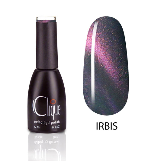 Irbis