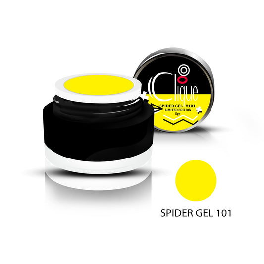 Spider 101