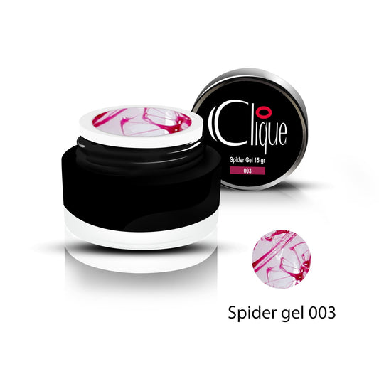 Spider 003